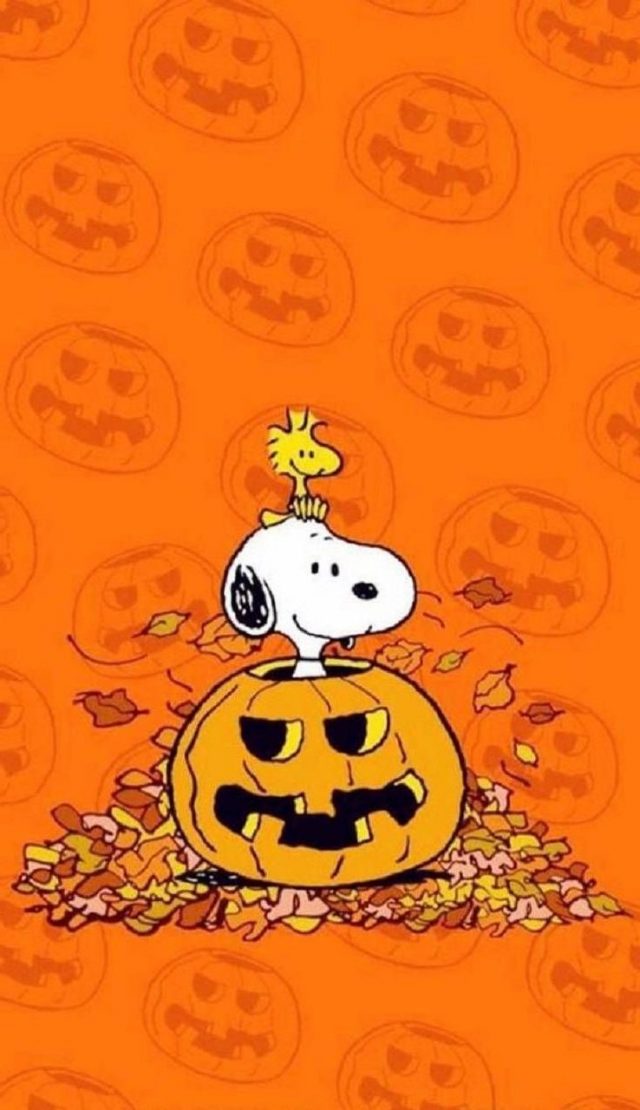 Snoopy Halloween photo - Wallpaper Sun