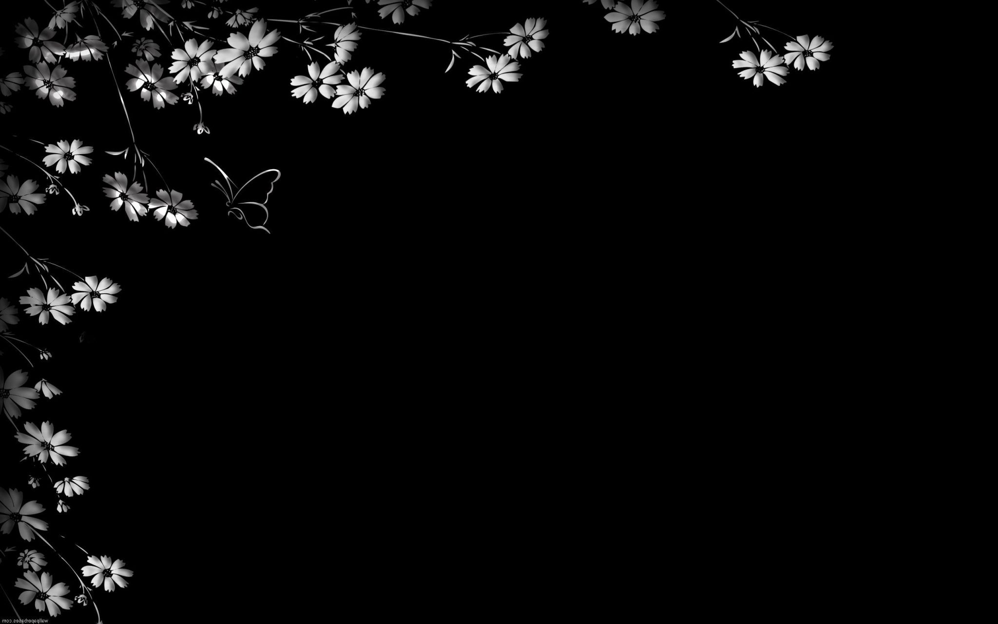 Black Flowers Wallpaper Wallpaper Sun