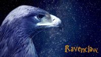 Ravenclaw Wallpaper 19