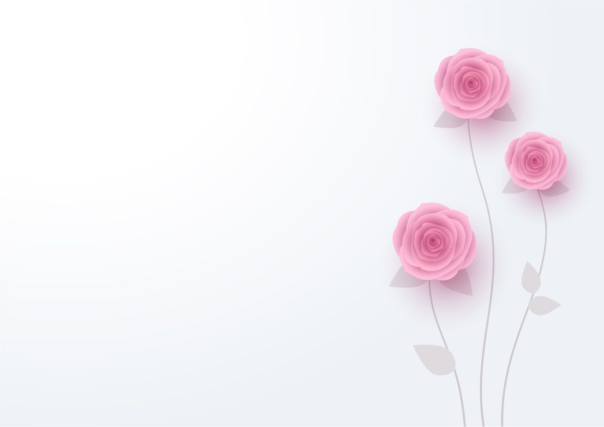 White pink. Pink White background. Minimal Romantic Rose. White Pink Roses background. White Pink Minimal background.