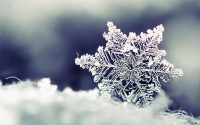 Snowflake wallpaper 30