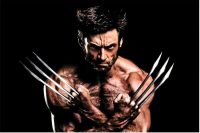 Wolverine Wallpaper 22