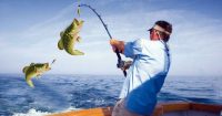 Fishing Wallpaper 16