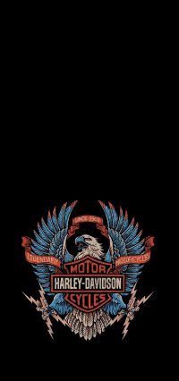 Harley Davidson Wallpaper 40