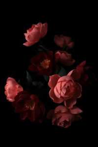 Red Dark Floral Wallpaper 7