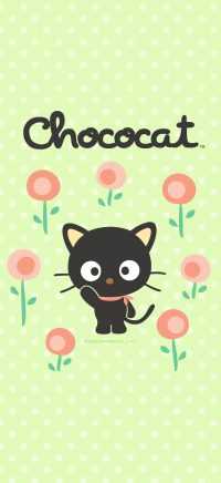 Sage Green Chococat Wallpaper 9