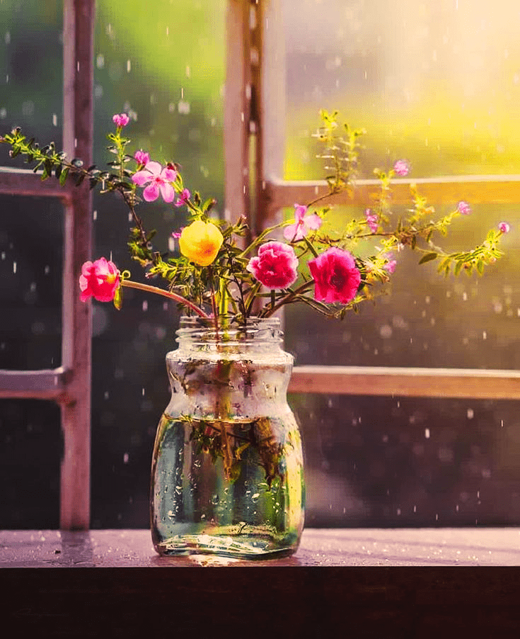 Albums 97+ Wallpaper Flowers Behind Glass Wallpaper Updated