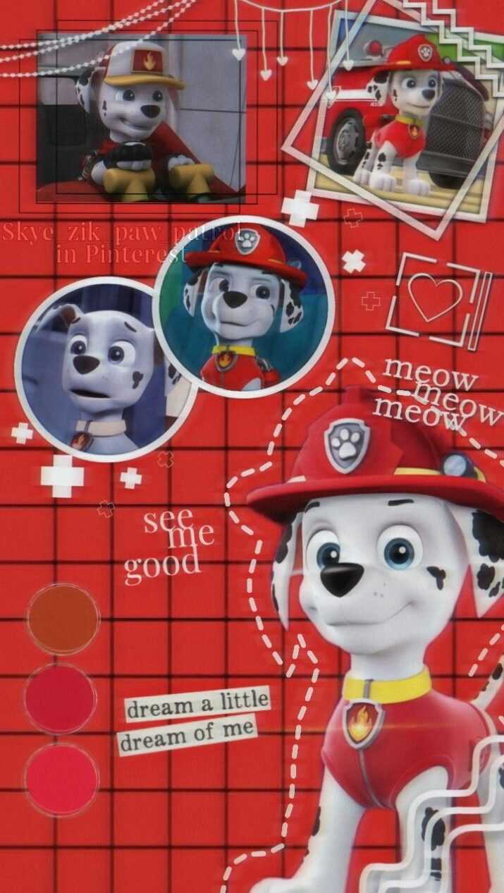 PAW Patrol Wallpaper 1