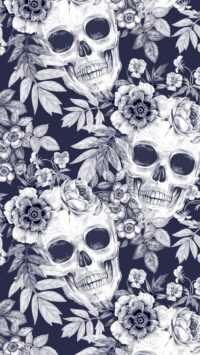 Skull Wallpaper 30