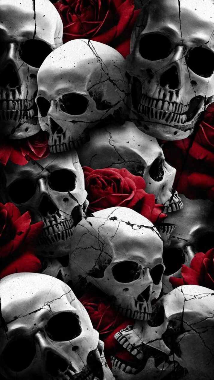 Skull Wallpaper 1