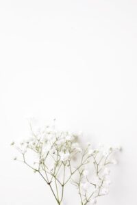 White Wallpaper 38