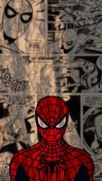 Spider-Man Wallpaper 16